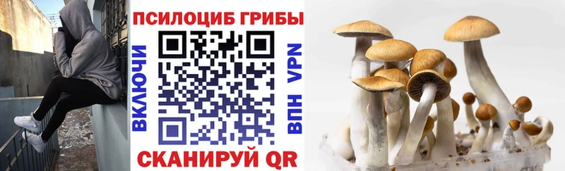 Псилоцибиновые грибы Magic Shrooms  Чекалин 
