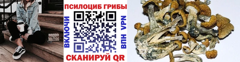 Галлюциногенные грибы MAGIC MUSHROOMS Чекалин