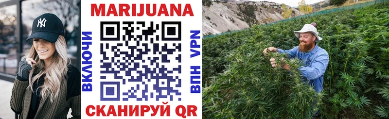 что такое   Чекалин  Бошки Шишки Ganja 